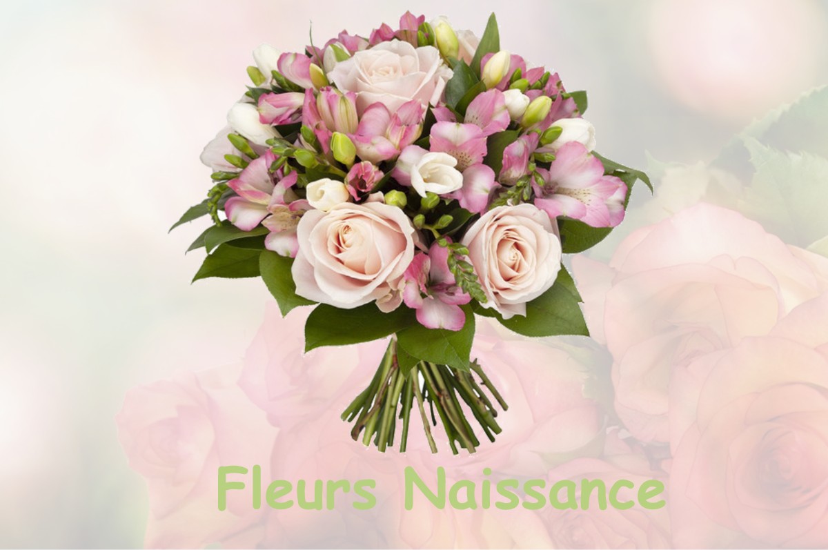 fleurs naissance ROQUEFORT-LES-CASCADES